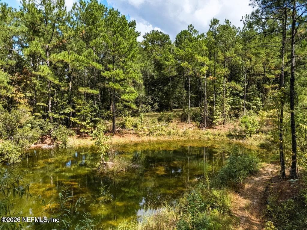 1886 GENTLE BREEZE Road, Middleburg, FL 32068, Middleburg, FL - photo 2