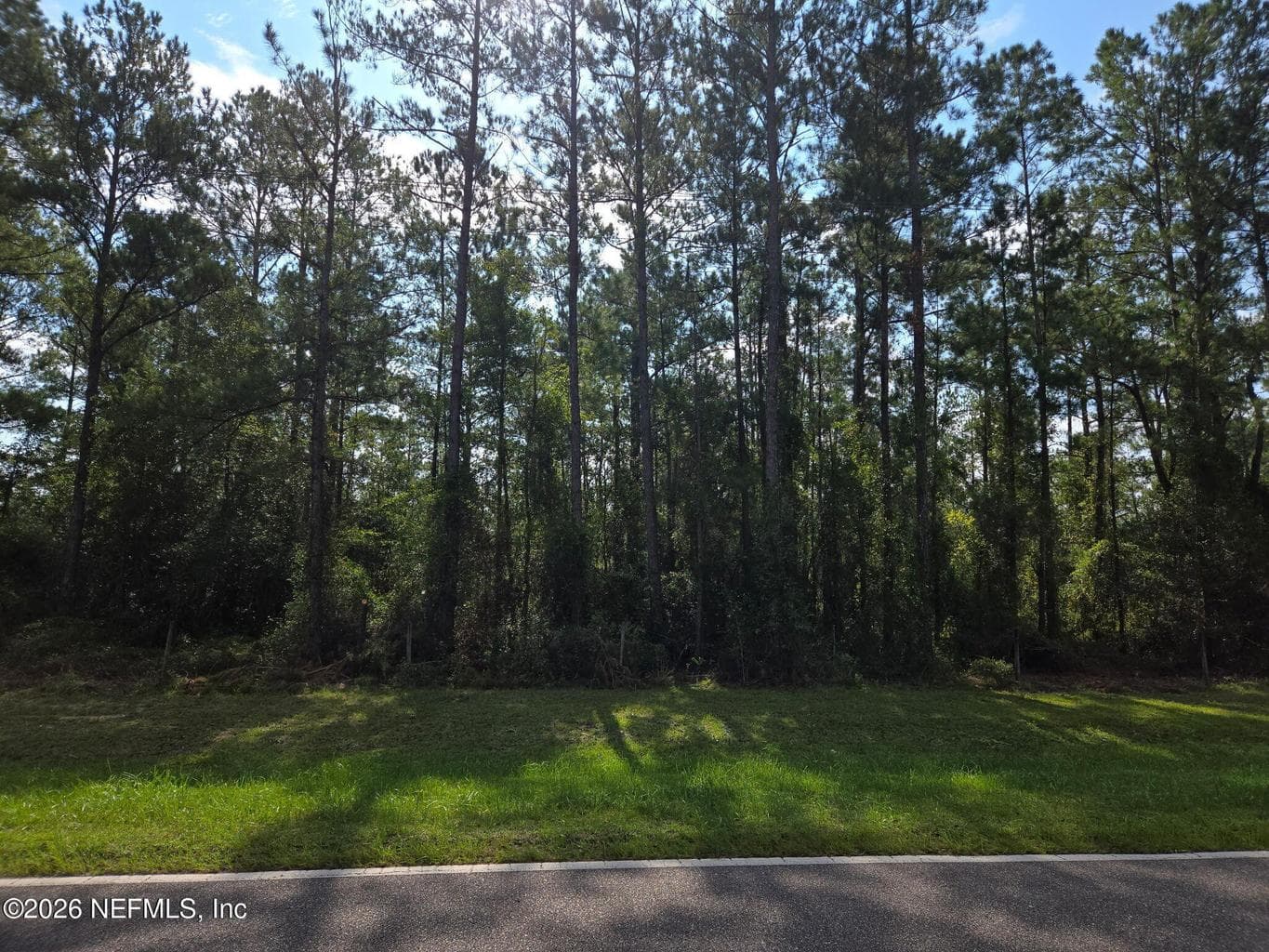0 COUNTY ROAD 121, Hilliard, FL 32046, Hilliard, FL - photo 1