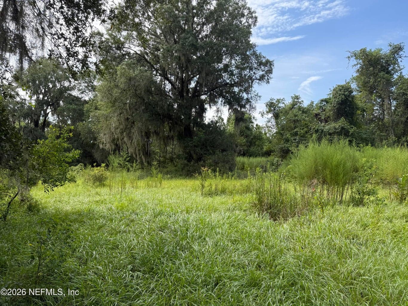 0 W BEAVER Street, Jacksonville, FL 32234, Jacksonville, FL - photo 1