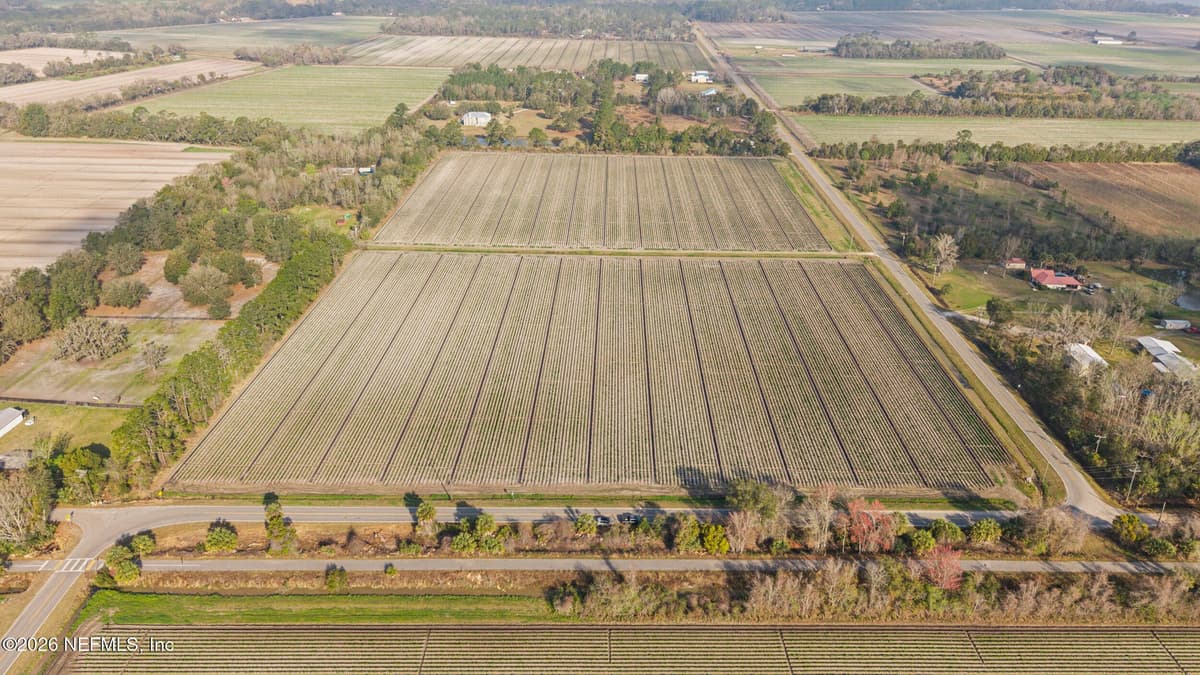 195 CARTER CRABTREE Road, East Palatka, FL 32131, East Palatka, FL - photo 2