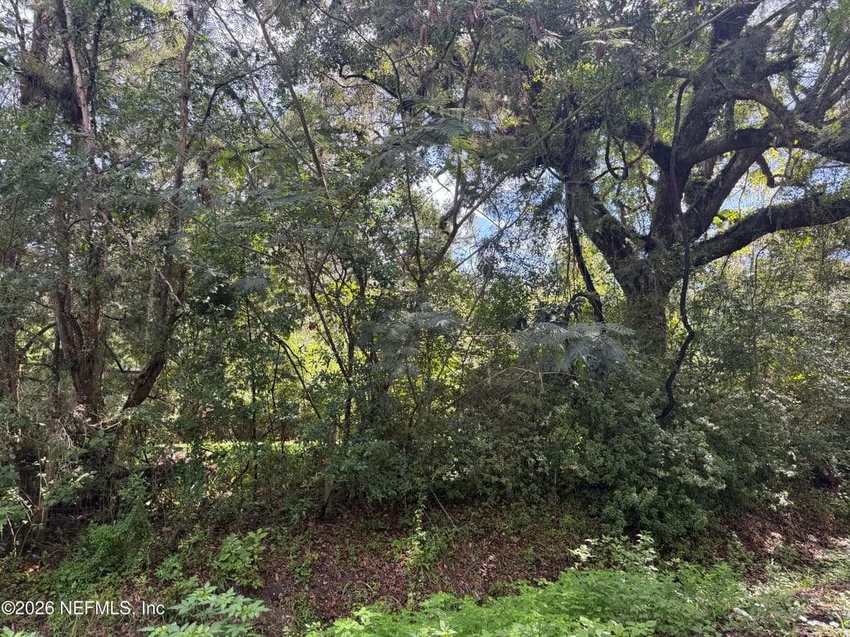 56063 NASSAU OAKS Drive, Callahan, FL 32011, Callahan, FL - photo 2