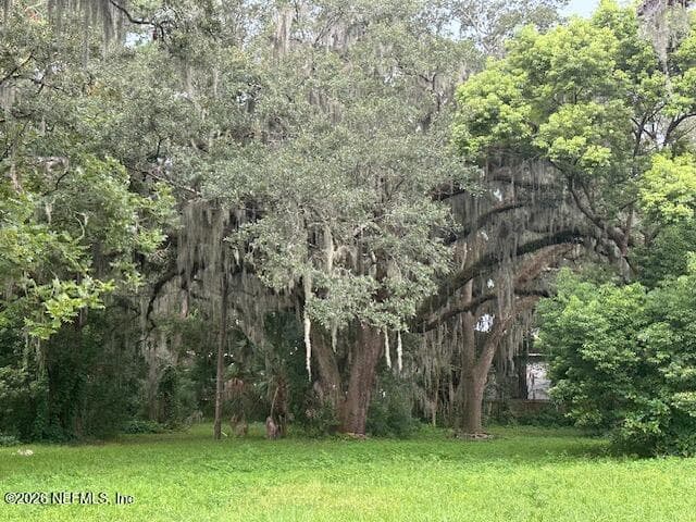 0 ART MUSEUM Drive, Jacksonville, FL 32207, Jacksonville, FL - photo 3