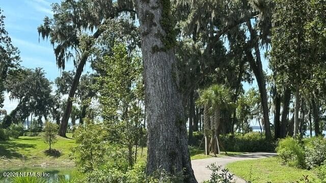 317 OAKMOSS Drive, St. Johns, FL 32259, St. Johns, FL - photo 2