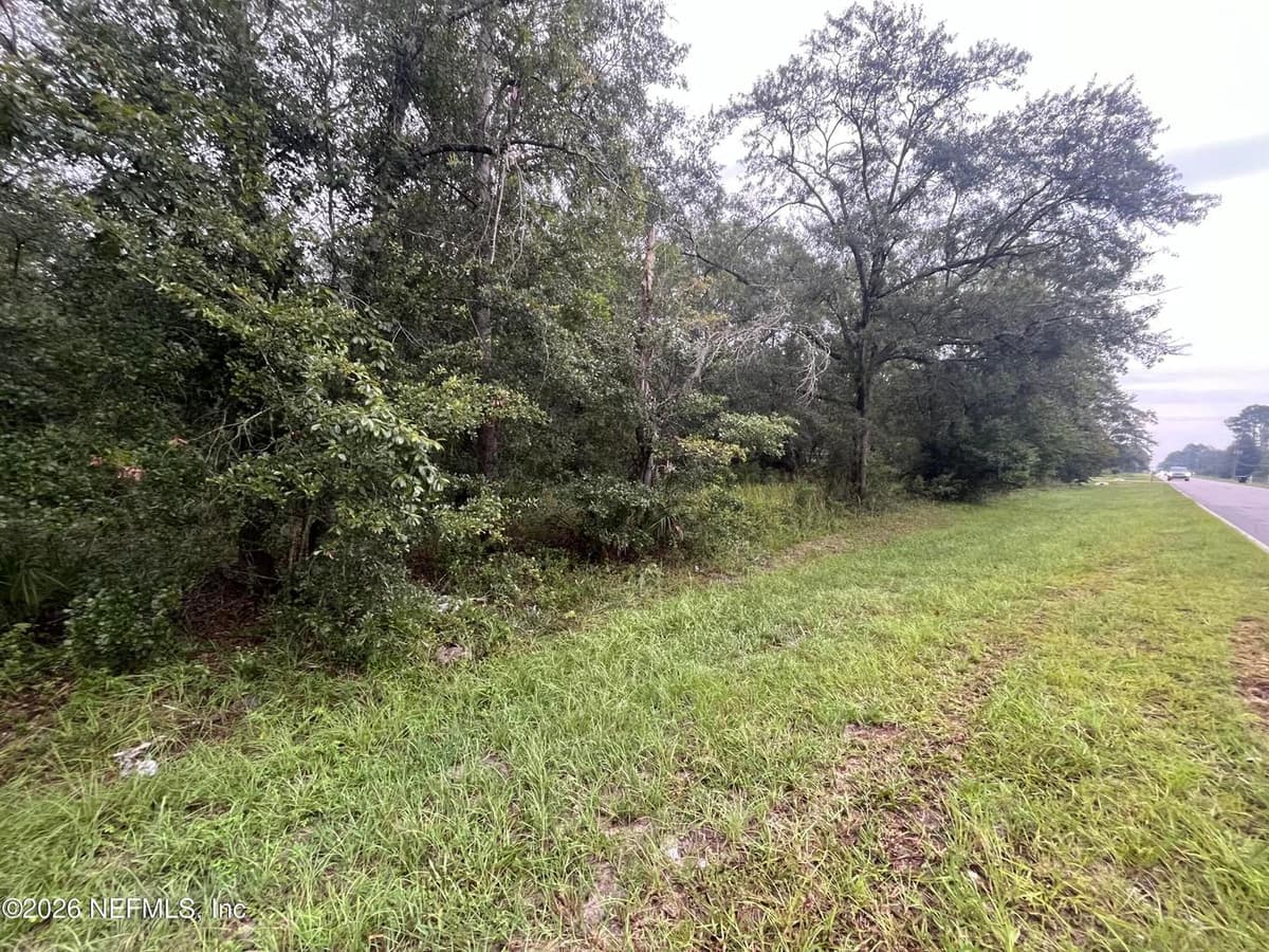 4056 OLD JENNINGS Road, Middleburg, FL 32068, Middleburg, FL - photo 3