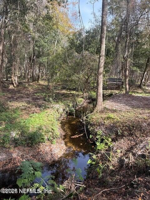2226 STATE ROAD 16 W, Green Cove Springs, FL 32043, Green Cove Springs, FL - photo 2