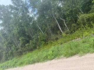 0 RANGE LINE Road, Middleburg, FL 32068, Middleburg, FL - photo 3