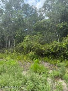 0 RANGE LINE Road, Middleburg, FL 32068, Middleburg, FL - photo 2