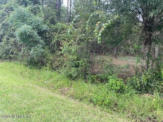 0 NE 173RD Street, Starke, FL 32091, Starke, FL - photo 2