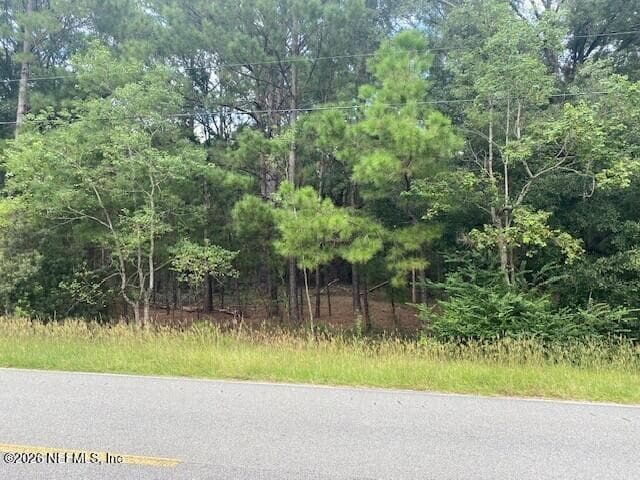0 NE 173RD Street, Starke, FL 32091, Starke, FL - photo 3