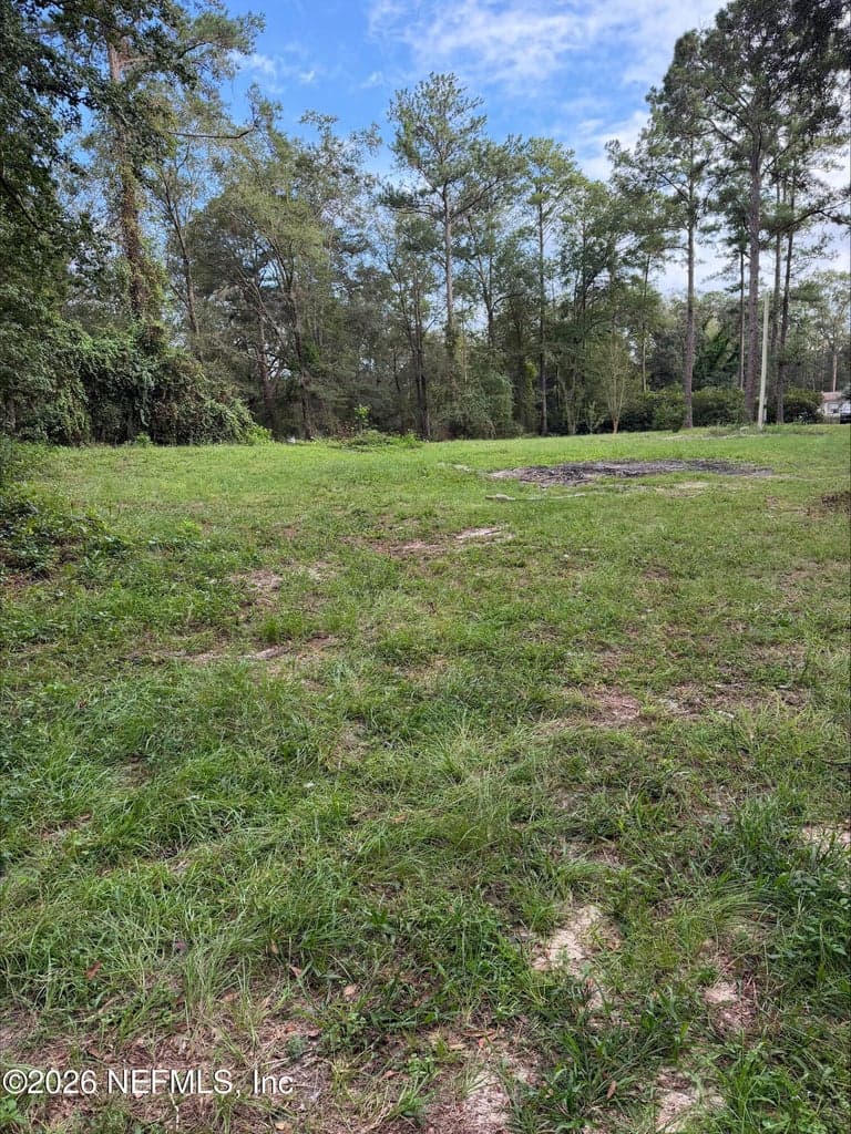 5230 WHITE OAK Lane, Middleburg, FL 32068, Middleburg, FL - photo 2