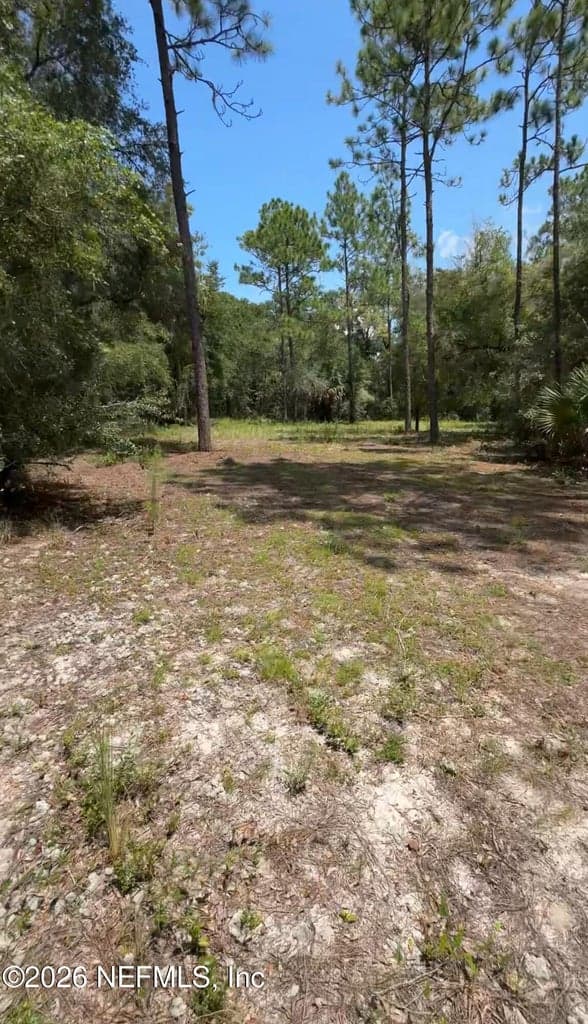 140 S BROWARD Avenue, Pomona Park, FL 32181, Pomona Park, FL - photo 3