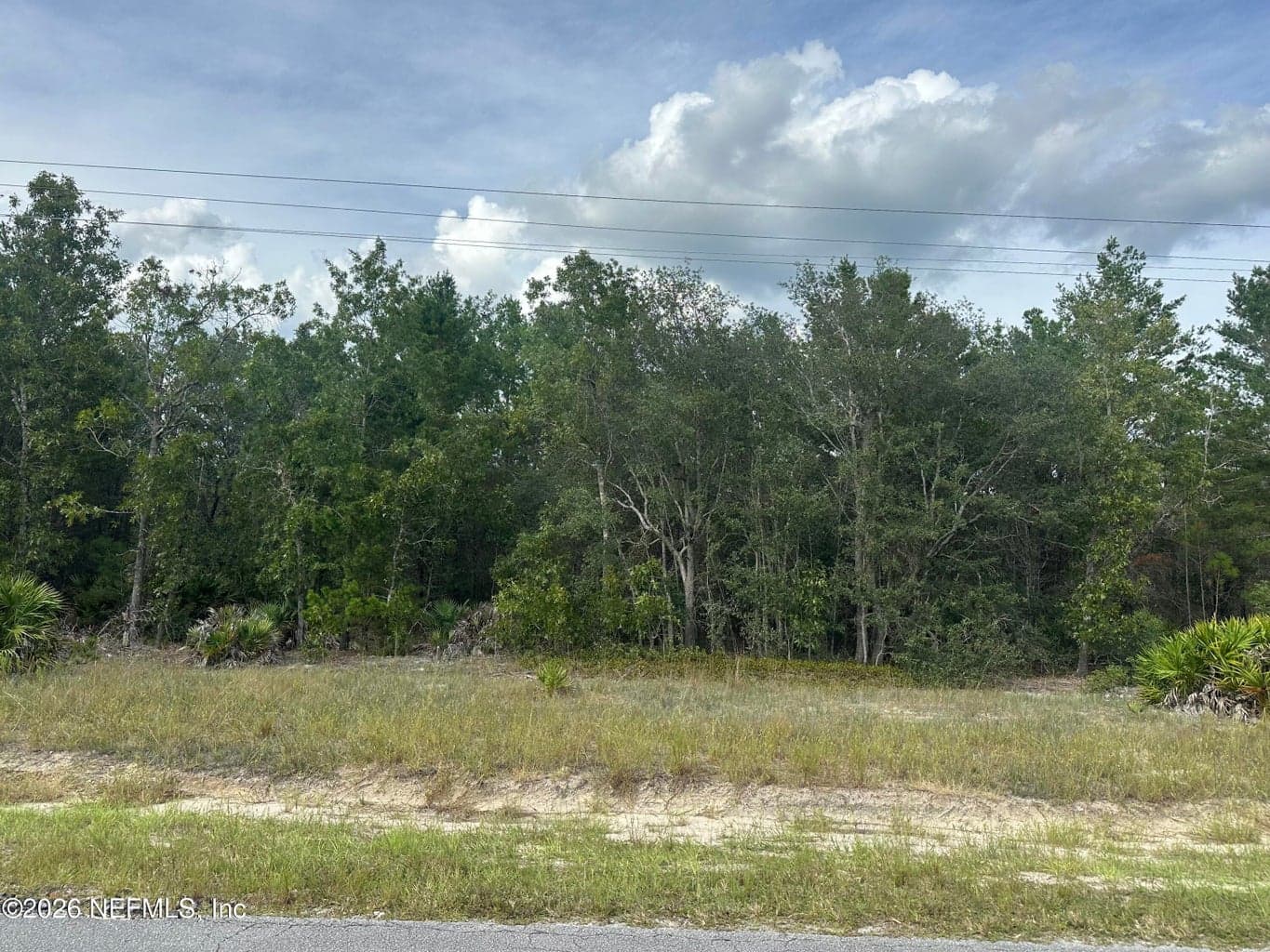 LOT 17 E HILLSBOROUGH Avenue, Florahome, FL 32140