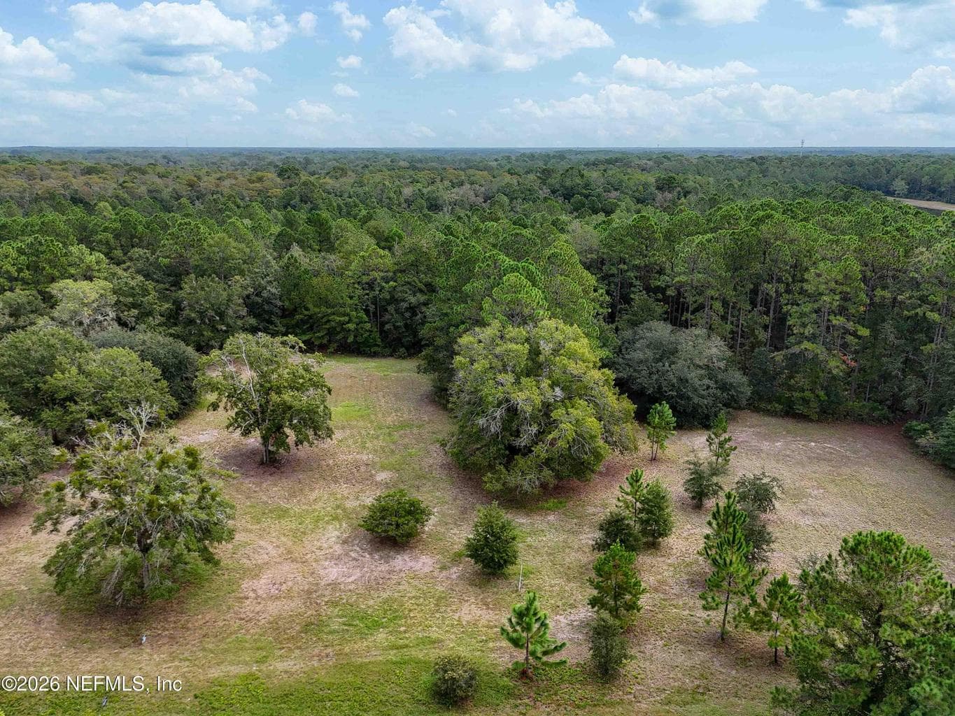 9500 TAYLOR FIELD Road, Jacksonville, FL 32222, Jacksonville, FL - photo 1