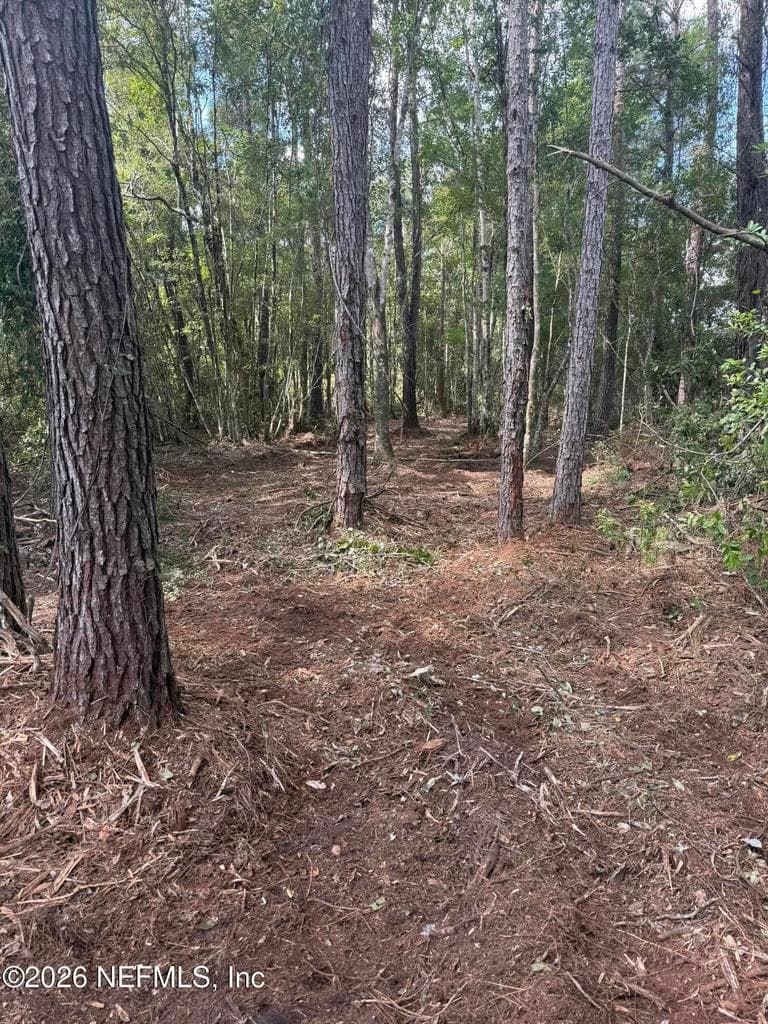 000 LE HARVEY Road, Glen St. Mary, FL 32040, Glen St. Mary, FL - photo 3