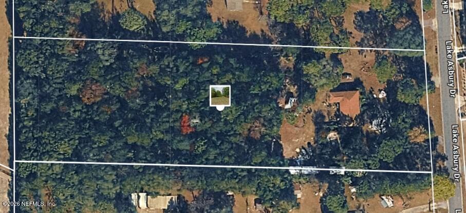 677 LAKE ASBURY Drive, Green Cove Springs, FL 32043, Green Cove Springs, FL - photo 3